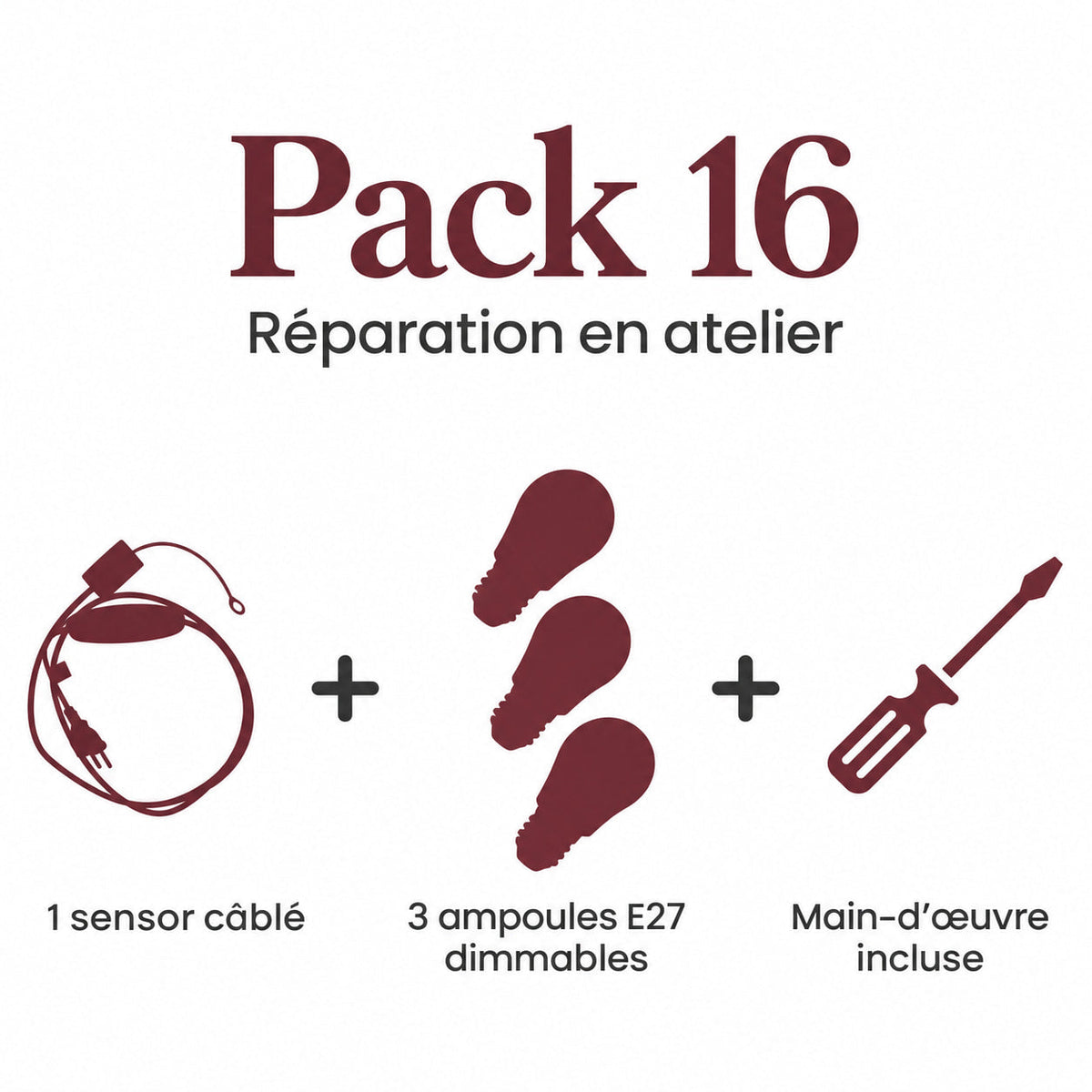 Pack 16 (1 sensor cable, 3 E27 dimmable bulbs and labor) - pack contents