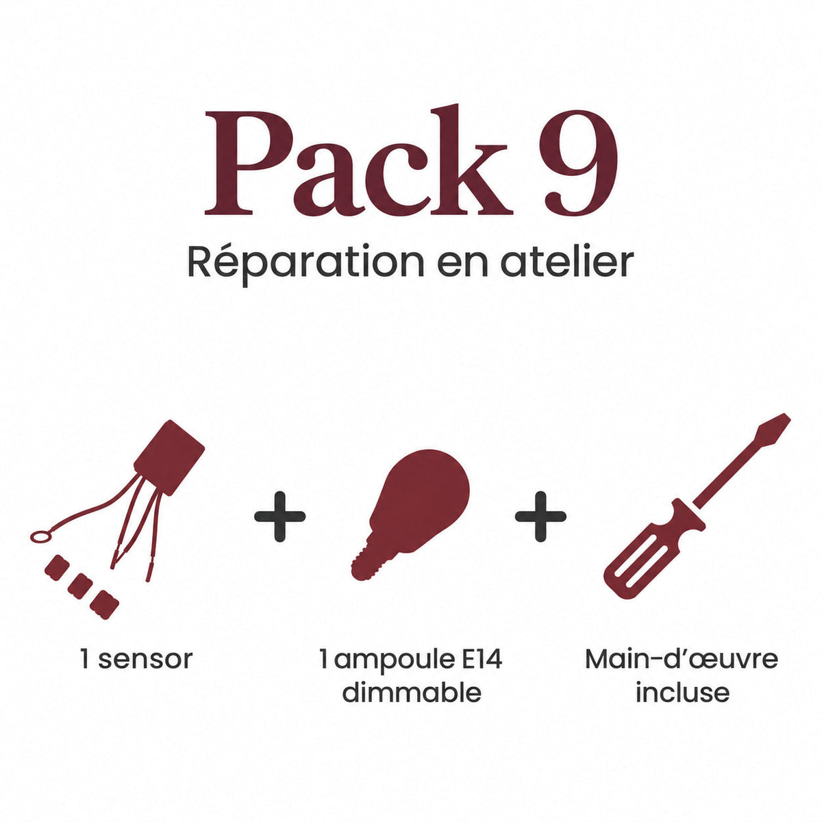 Pack 9 (1 Sensor, 1 E14 Dimmable Bulb and Labor) - pack contents